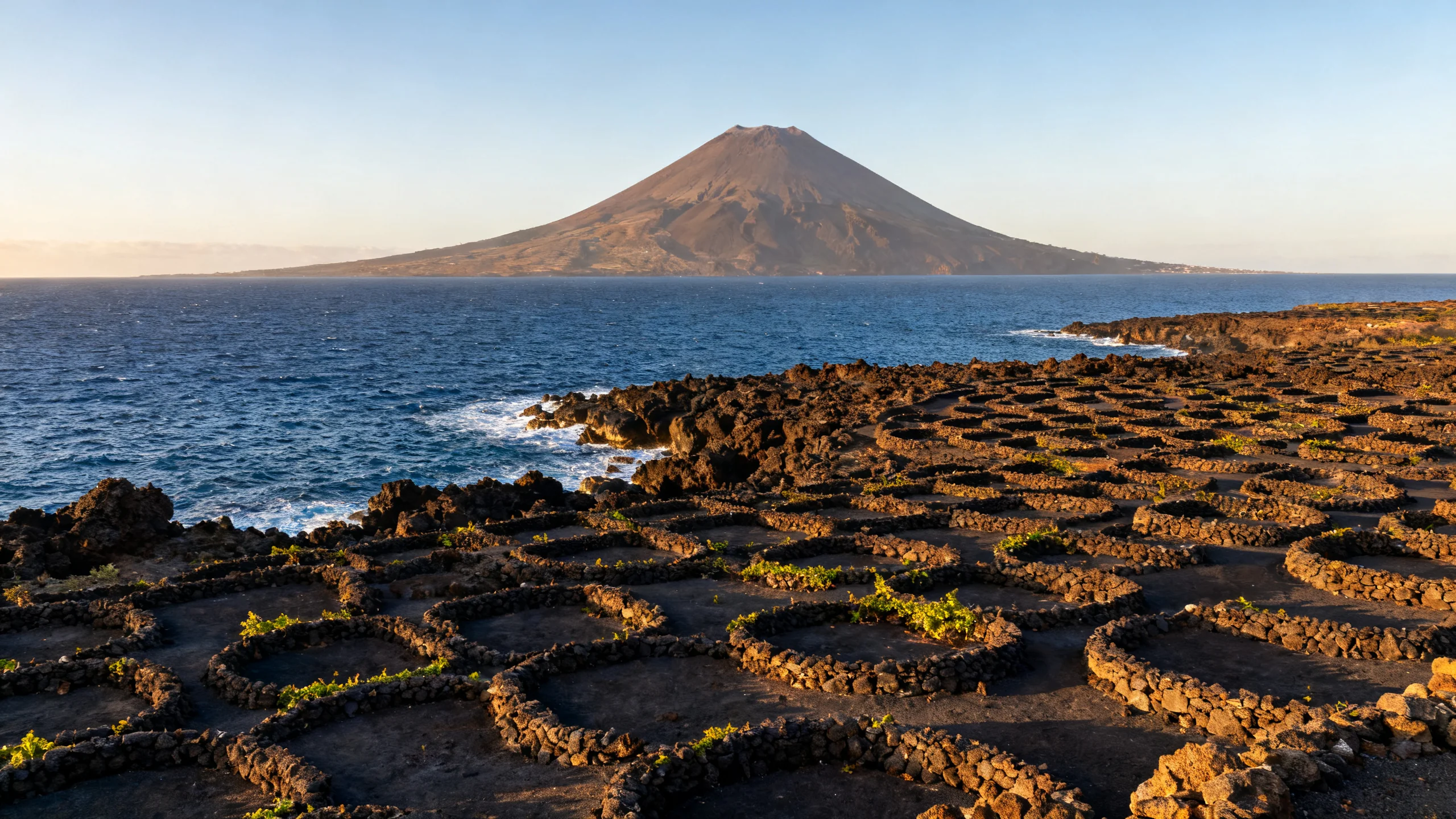 The UNESCO-listed Lajido vineyards on Pico, with hundreds of small basalt-stone walled enclosures (currais) protecting vine plots from the wind, the dark volcanic rock of the north coast meeting the Atlantic ocean, and the Pico volcano rising in the background under a clear sky
