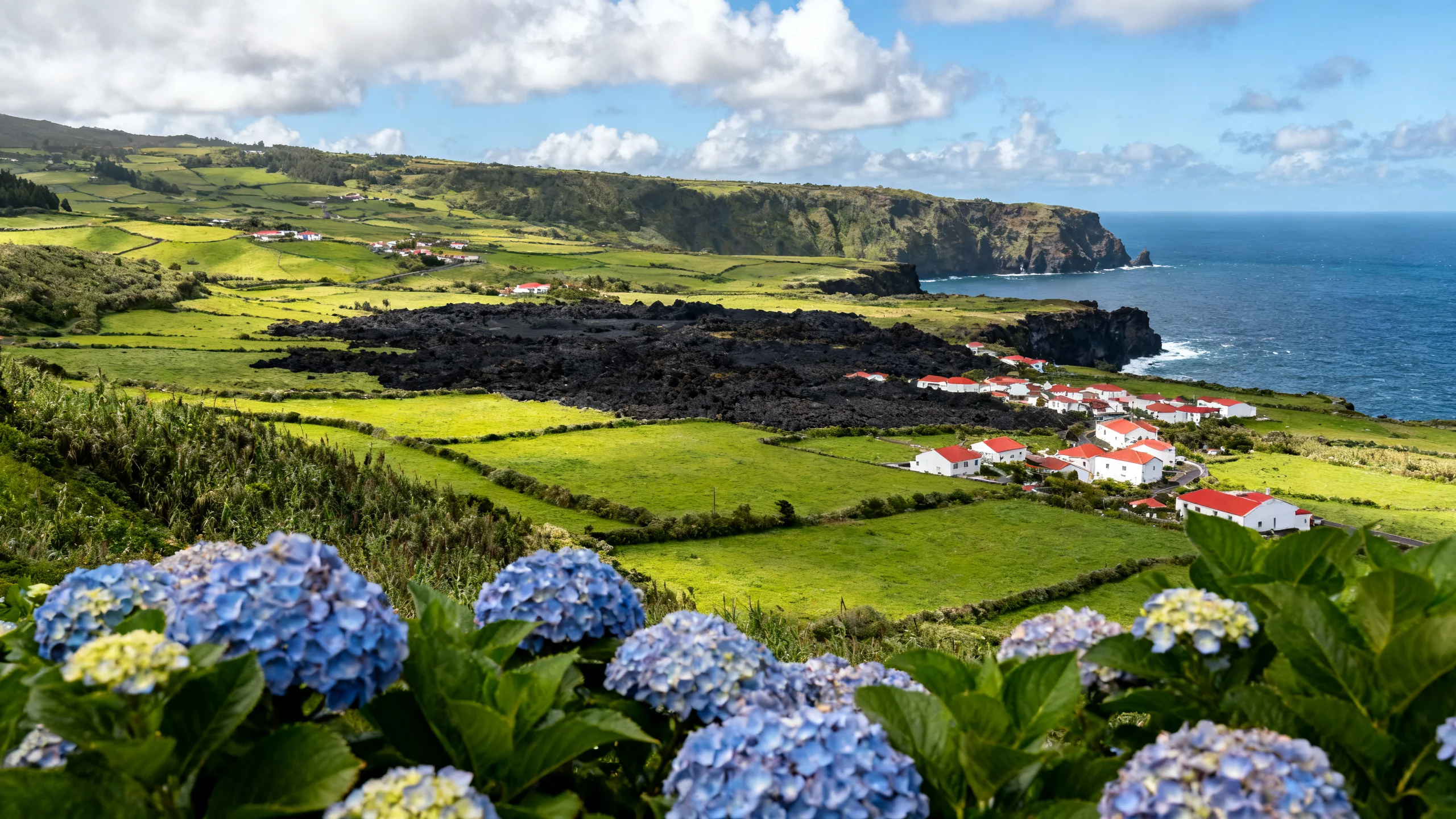 Vue panoramique de São Miguel avec pâturages verts, falaises noires et hortensias